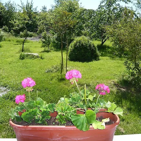 Holiday L'hermitiere Saint Germain la campagne